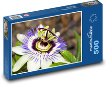 Mučenka - květ, rostlina Puzzle 500 dílků - 46 x 30 cm