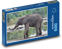 Slon - safari, zvíře Puzzle 500 dílků - 46 x 30 cm