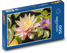Lilia wodna - kwiat, staw Puzzle 500 elementów - 46x30 cm