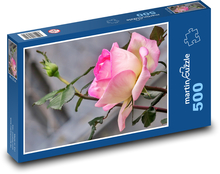 Ruže - kvety, záhrada Puzzle 500 dielikov - 46 x 30 cm 