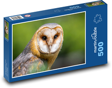 Spalona sowa - drapieżnik, ptak Puzzle 500 elementów - 46x30 cm