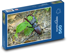 Roháč - brouk, hmyz Puzzle 500 dílků - 46 x 30 cm