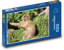 Prérijný pes - zviera, hlodavec Puzzle 500 dielikov - 46 x 30 cm 