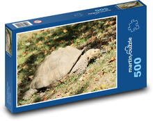 Turtle - reptile, animal Puzzle of 500 pieces - 46 x 30 cm 