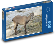 Kozorožec - zviera, cicavec Puzzle 500 dielikov - 46 x 30 cm 