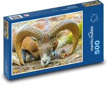 Muflon - zvíře, rohy Puzzle 500 dílků - 46 x 30 cm