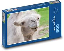 Velbloud - zvíře, zoo Puzzle 500 dílků - 46 x 30 cm