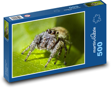 Pająk - owad, zwierzę Puzzle 500 elementów - 46x30 cm