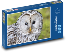 Graue Eule - Vogel, Tier Puzzle 500 Teile - 46 x 30 cm