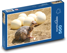 Pštros - mládě, vejce Puzzle 500 dílků - 46 x 30 cm