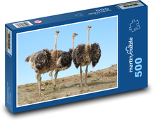 Pštrosi - běžci, zvířata Puzzle 500 dílků - 46 x 30 cm