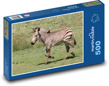 Zebra - zvíře, zoo Puzzle 500 dílků - 46 x 30 cm