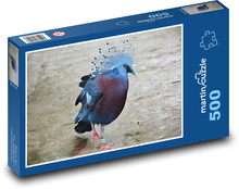 Bird - fan pigeon, animal Puzzle of 500 pieces - 46 x 30 cm 