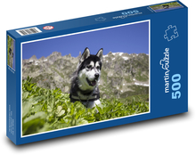 Siberian husky - dog, pet Puzzle of 500 pieces - 46 x 30 cm 