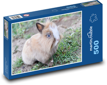 Trpasličí králik - domáce zviera, zviera Puzzle 500 dielikov - 46 x 30 cm 