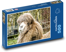 Kamelkopf, Zoo Puzzle 500 Teile - 46 x 30 cm