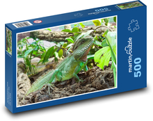 Leguan - Eidechse, Reptil Puzzle 500 Teile - 46 x 30 cm
