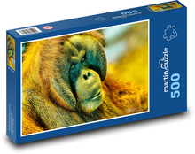 Orangutan - opica, primát Puzzle 500 dielikov - 46 x 30 cm 