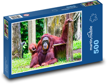 Orangutan - zviera, opica Puzzle 500 dielikov - 46 x 30 cm 