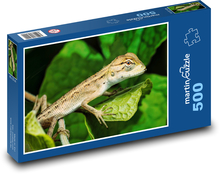 Gekon - ještěrka, plaz Puzzle 500 dílků - 46 x 30 cm