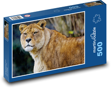 Levica - lev, dravec Puzzle 500 dielikov - 46 x 30 cm 
