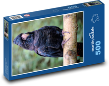 Kakadu czarny - ptak, zwierzę Puzzle 500 elementów - 46x30 cm