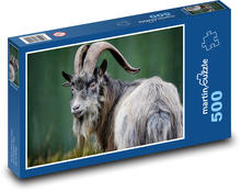 Koza - ssak, przeżuwacz Puzzle 500 elementów - 46x30 cm