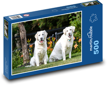 Zlatý retriver - psy, domáce zvieratá Puzzle 500 dielikov - 46 x 30 cm 