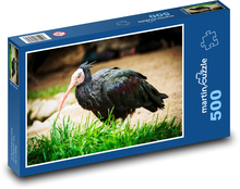 Ibis - bird, animal Puzzle of 500 pieces - 46 x 30 cm