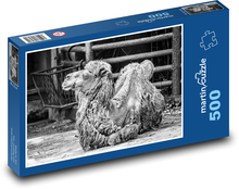 Kamel - Tier, Zoo Puzzle 500 Teile - 46 x 30 cm