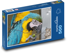 Papuga - Ara, Ptak Puzzle 500 elementów - 46x30 cm