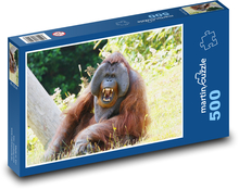 Orangutan - opice, zvíře Puzzle 500 dílků - 46 x 30 cm