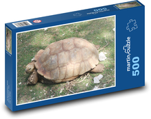 Želva - krunýř, plaz Puzzle 500 dílků - 46 x 30 cm