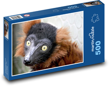 Maki rot - Lemur, Tier Puzzle 500 Teile - 46 x 30 cm