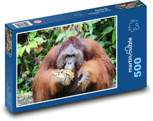 Orangutan - zvíře, opice  Puzzle 500 dílků - 46 x 30 cm