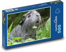 Guinea pig - animal, cute Puzzle of 500 pieces - 46 x 30 cm