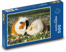 Morče - sedmikrásky, zvířata Puzzle 500 dílků - 46 x 30 cm