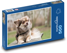 Chihuahua - pies, zwierzak Puzzle 500 elementów - 46x30 cm