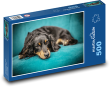 Dog - puppy, couch Puzzle of 500 pieces - 46 x 30 cm 