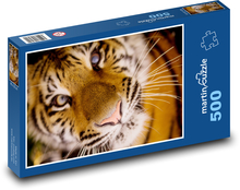 Tiger - fúzy, mäsožravec Puzzle 500 dielikov - 46 x 30 cm 