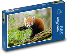 Red panda - branch, animal Puzzle of 500 pieces - 46 x 30 cm 