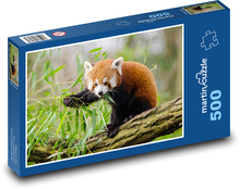 Panda czerwona - gałąź, zwierzę Puzzle 500 elementów - 46x30 cm