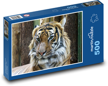 Tygr - zvíře, velká kočka Puzzle 500 dílků - 46 x 30 cm