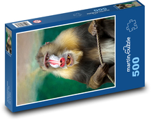 Pawian - małpy, Afryka Puzzle 500 elementów - 46x30 cm