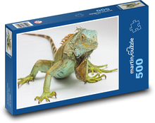 Iguana - reptile, animal Puzzle of 500 pieces - 46 x 30 cm 