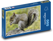 Eichhörnchen - Nagetier, Tier Puzzle 500 Teile - 46 x 30 cm