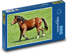 Kůň - zvíře, savec Puzzle 500 dílků - 46 x 30 cm