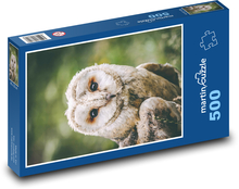 Owl - bird, animal Puzzle of 500 pieces - 46 x 30 cm 