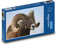 Desert thick-horned sheep - animal, horns Puzzle of 500 pieces - 46 x 30 cm 