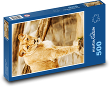Lioness - beast, predator Puzzle of 500 pieces - 46 x 30 cm 